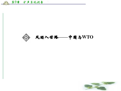 高中语文人教选修《新闻阅读与实践》配套课件 3.8 风雨入世路——中国与WTO