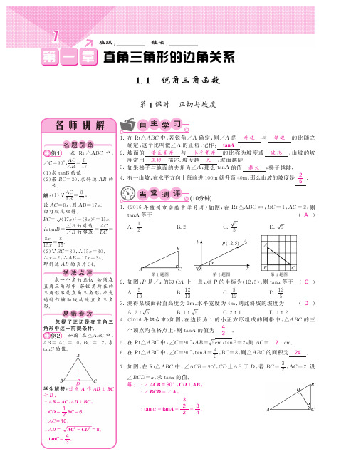 北师大版初三数学下课堂点睛