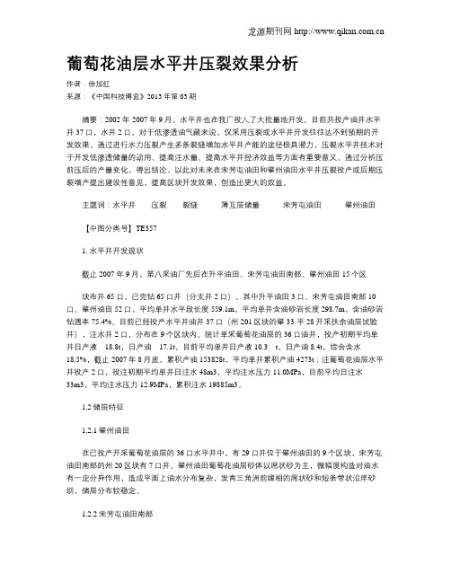 葡萄花油层水平井压裂效果分析