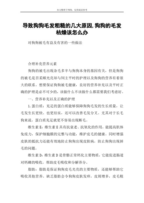 导致狗狗毛发粗糙的几大原因,狗狗的毛发枯燥该怎么办