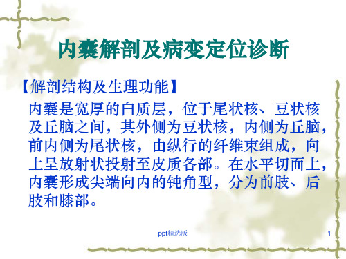 内囊基底神经节间脑的解剖ppt课件