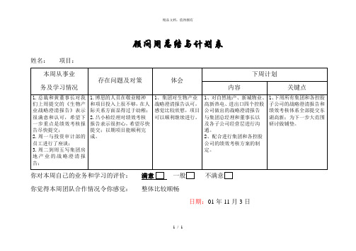 九略—东湖高新—项目计划和总结
