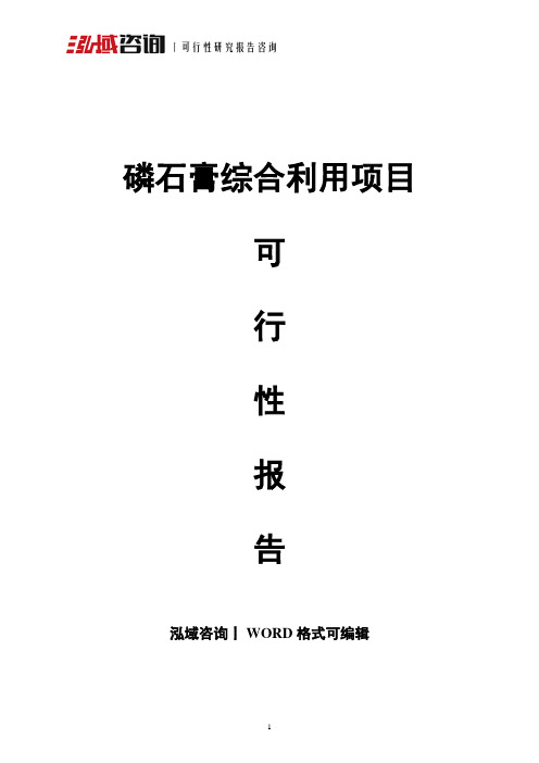 磷石膏综合利用项目可行性报告