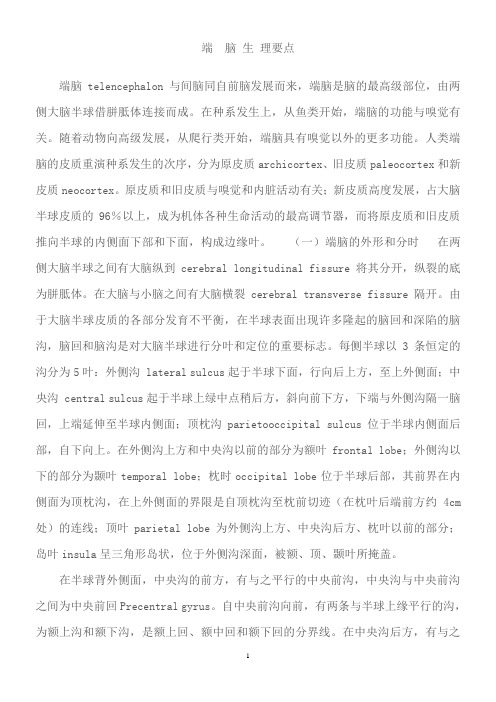 端脑(生理)功能要点