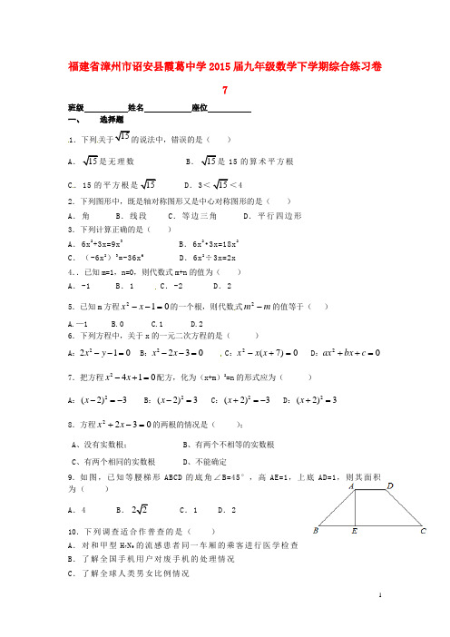 福建省漳州市诏安县霞葛中学九年级数学下学期综合练习
