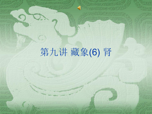 中医养生肾与膀胱