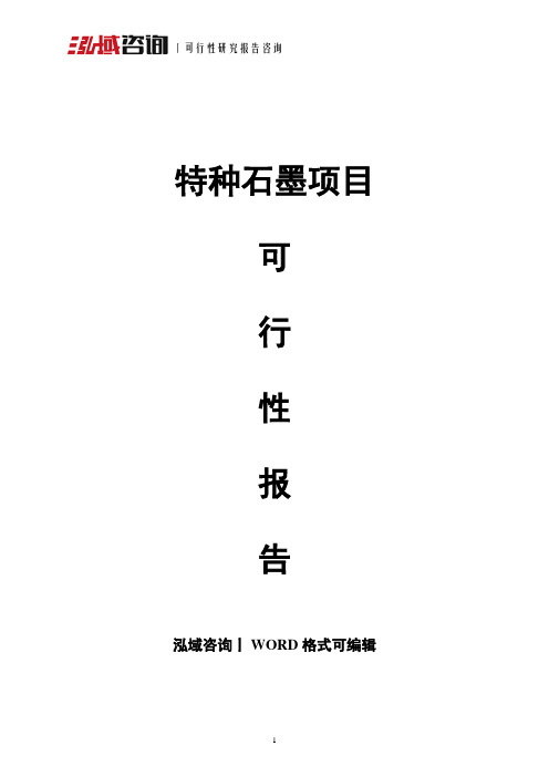 特种石墨项目可行性报告