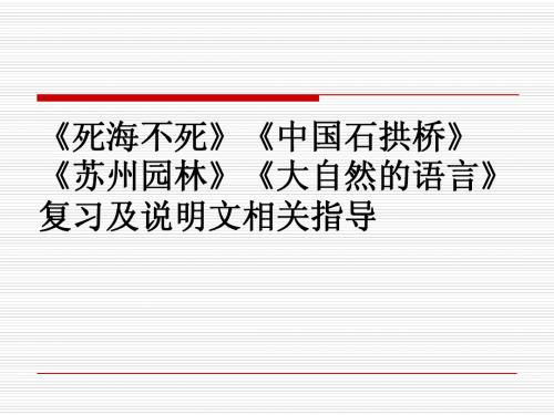 《死海不死》复习