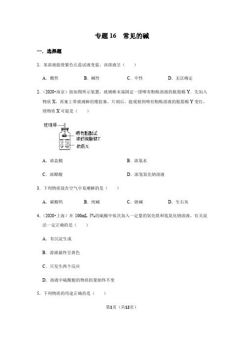 专题16 常见的碱(原卷版)