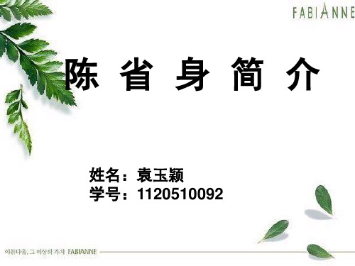 陈省身