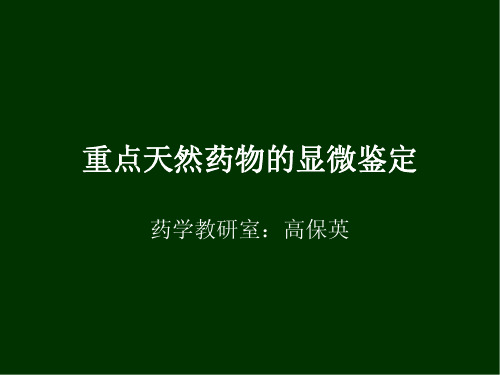 重点天然药物的显微鉴定.pdf