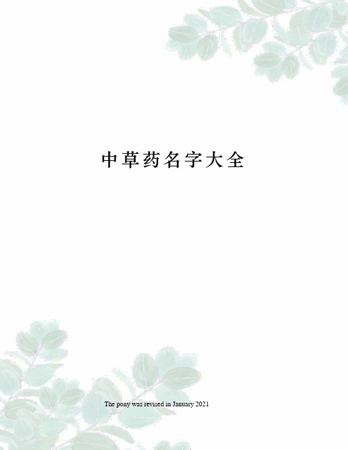中草药名字大全
