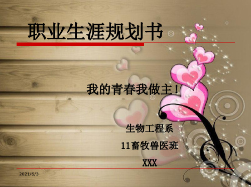 畜牧兽医职业生涯规划书PPT优秀课件