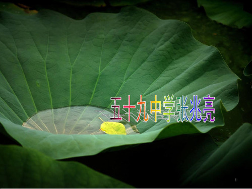 《混合物分离和提纯》PPT课件_OK