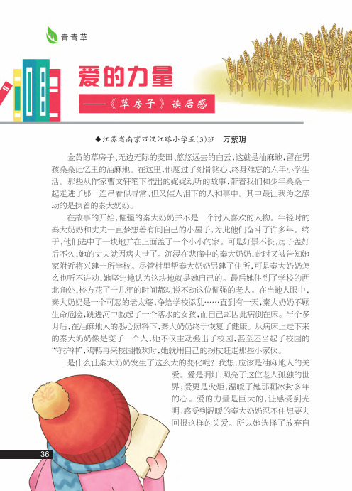 爱的力量——《草房子》读后感
