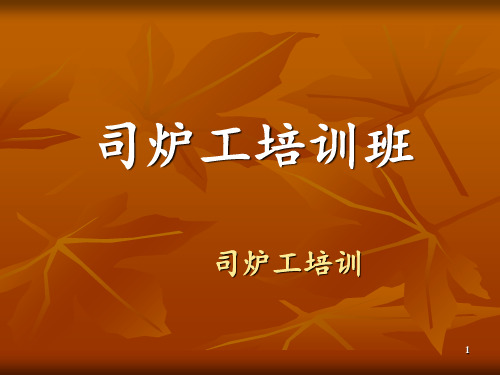 司炉工培训 ppt课件