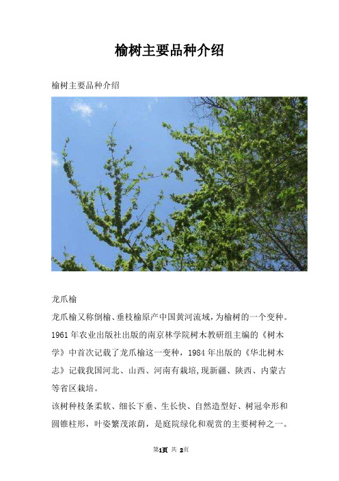 榆树主要品种介绍