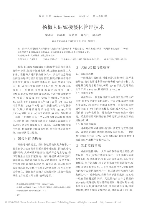 杨梅大砧嫁接矮化管理技术