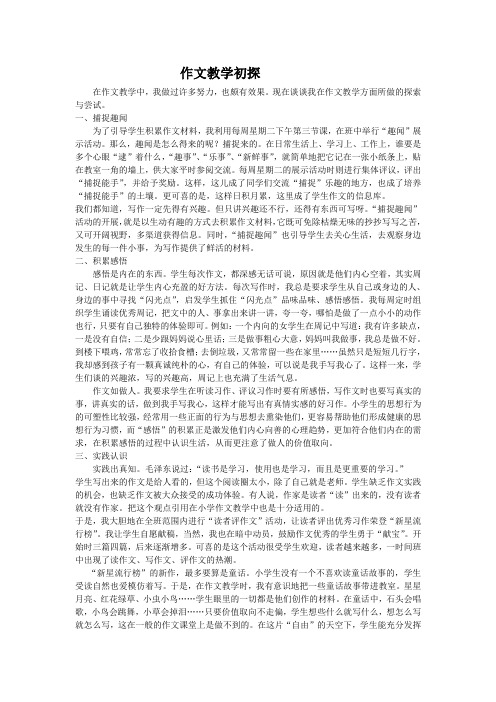作文教学初探