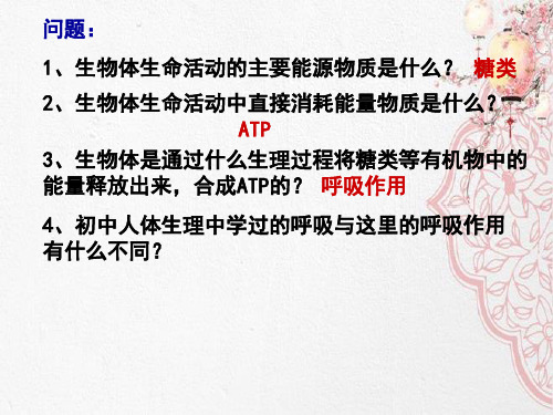 新版人教版高中生物复习20203 细胞呼吸(共21张PPT)学习演示PPT课件