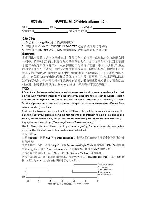 实习四：多序列比对(Multiple alignment)
