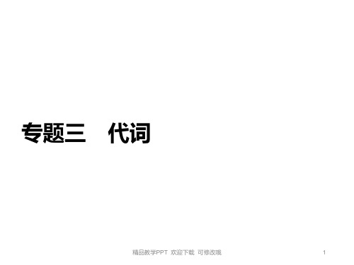初中中考英语语法合集专题三 代词  教学课件
