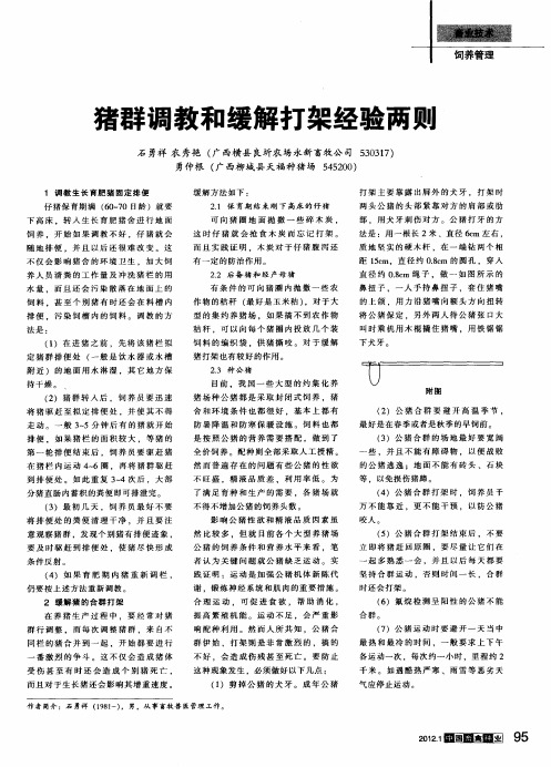 猪群调教和缓解打架经验两则