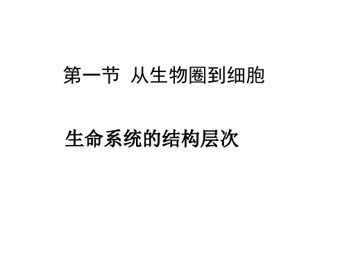 生命系统的结构层次