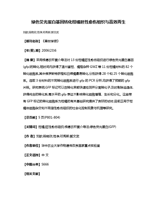 绿色荧光蛋白基因转化柑橘胚性愈伤组织与高效再生
