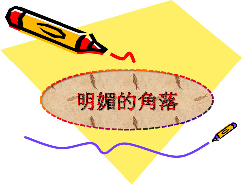 明媚的角落   作文讲评