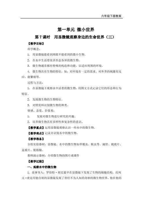 教科版六年级科学下册《用显微镜观察身边的生命世界(三)》教案
