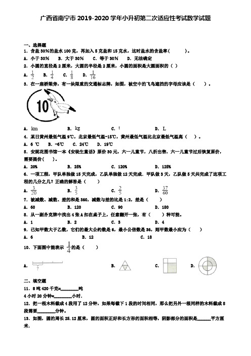广西省南宁市2019-2020学年小升初第二次适应性考试数学试题