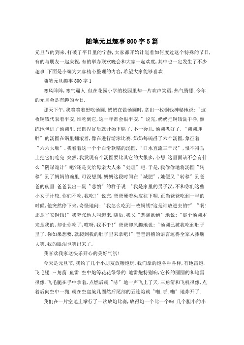 随笔元旦趣事800字5篇