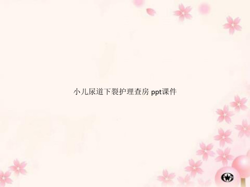 小儿尿道下裂护理查房 ppt课件
