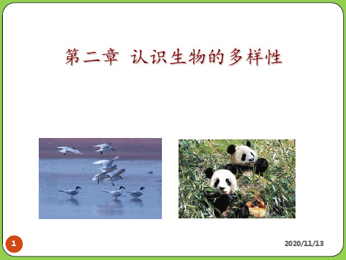 认识生物的多样性 ppt课件