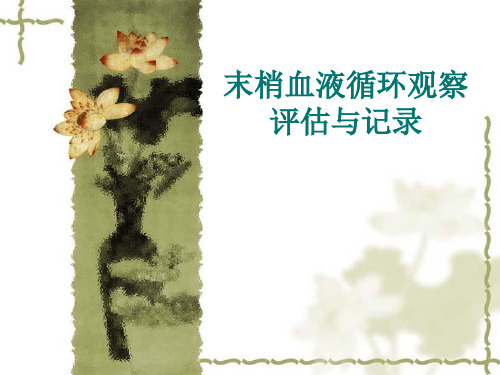 末梢血液循环观察评估与记录 (1)
