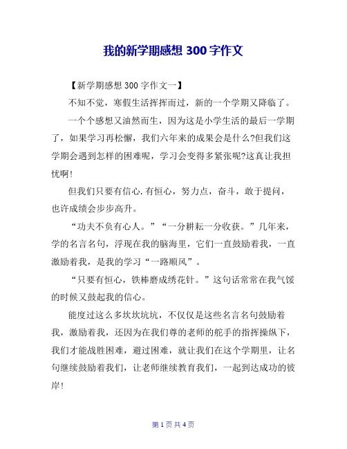 我的新学期感想300字作文