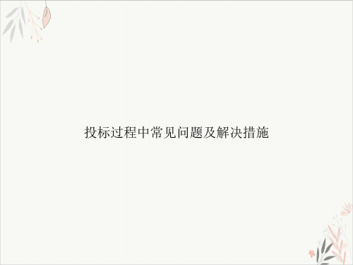 投标过程中常见问题及解决措施课件-PPT