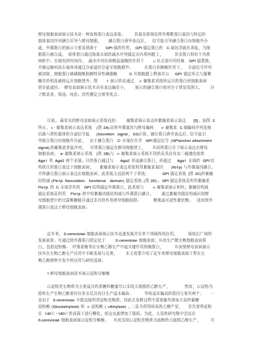 (完整版)酵母细胞