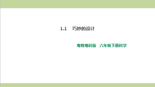 (新教材)粤教版六年级下册科学 1.1 巧妙的设计 课件