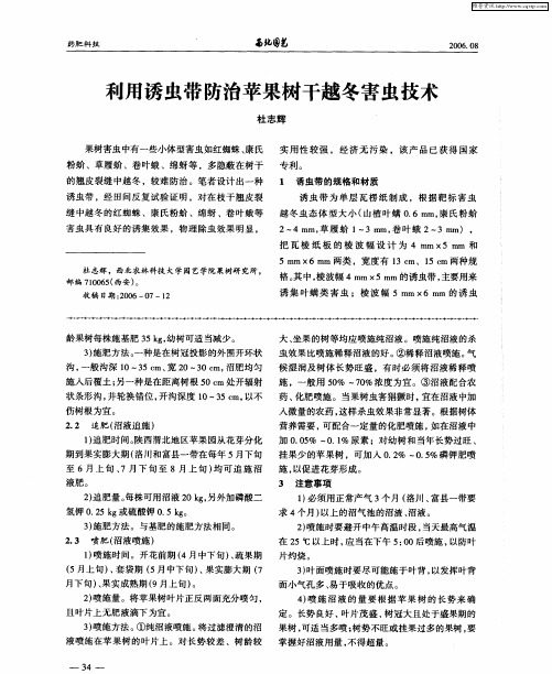 利用诱虫带防治苹果树干越冬害虫技术