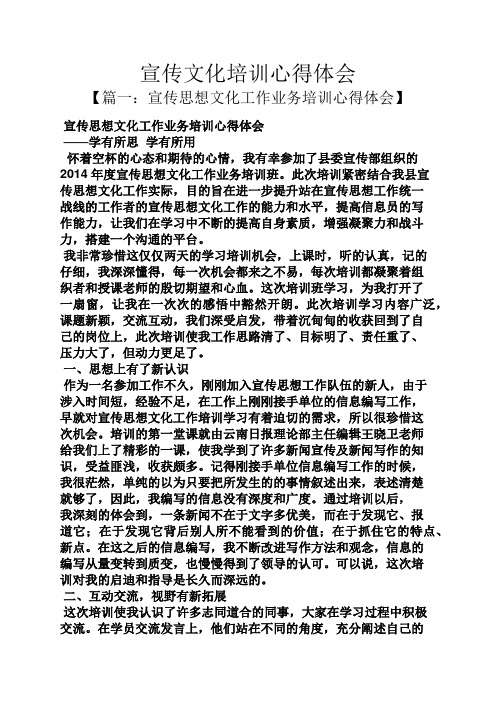 宣传文化培训心得体会