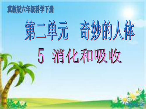 六年级下册科学课件第二单元 5 消化与吸收｜冀教版(共12张ppt)