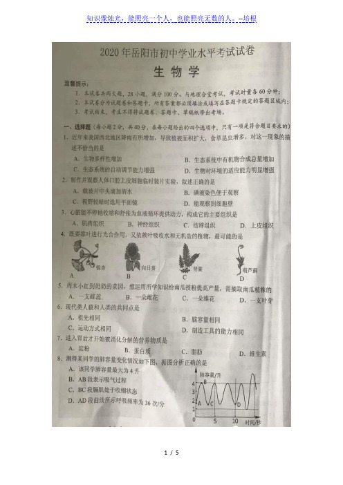 2020年湖南岳阳市初中学业水平考试生物试卷(图片版,有答案)
