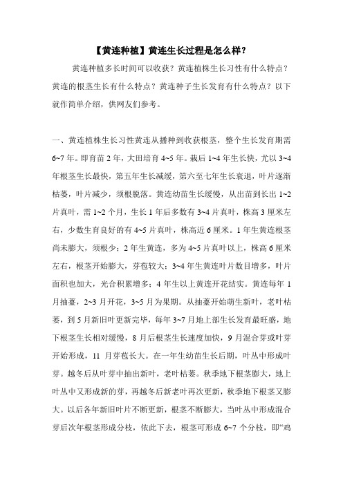 【黄连种植】黄连生长过程是怎么样？