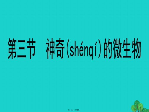 八年级生物上册第五单元第十四章第三节神奇的微生物课件1(新版)苏教版