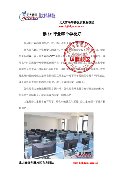 读it行业哪个学校好