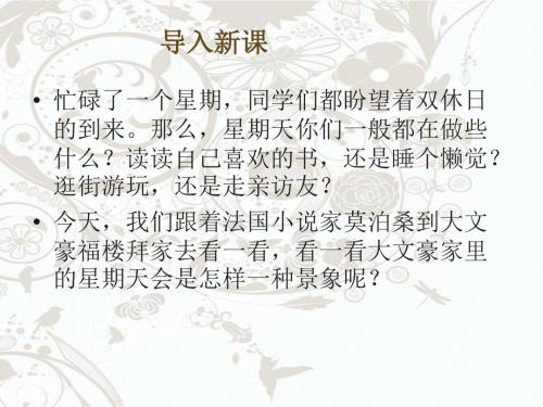 14《福楼拜家的星期天》PPT