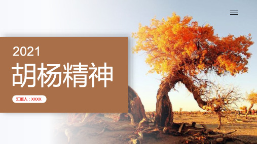 胡杨精神解读