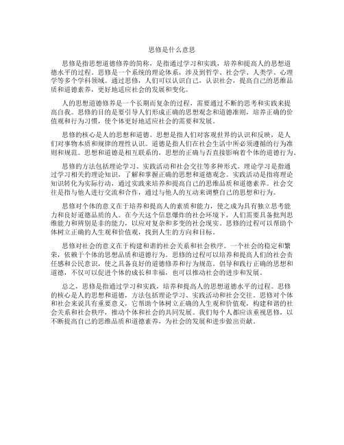 思修是什么意思